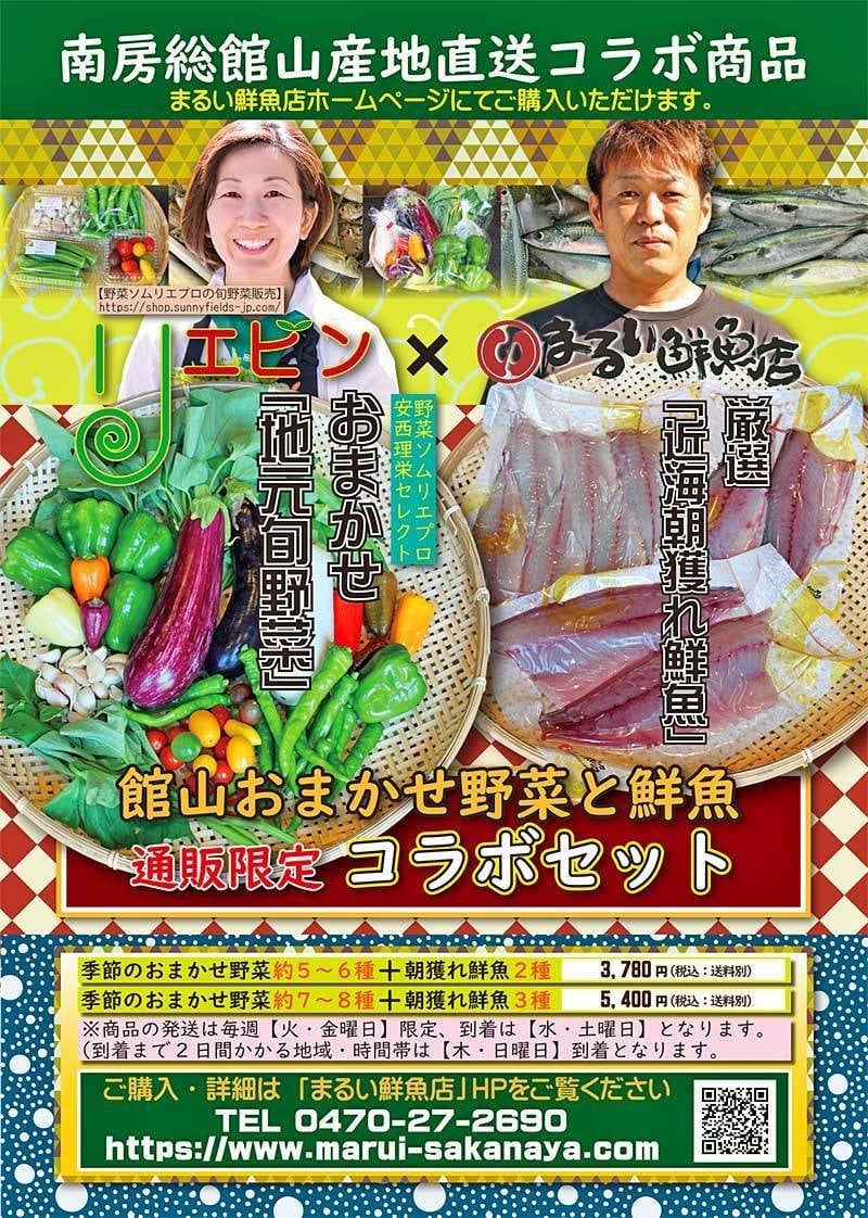 南房総館山【朝獲れ鮮魚X旬野菜おまかせセット】販売スタート!