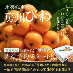 【房州びわ】南房総から初夏の贈り物