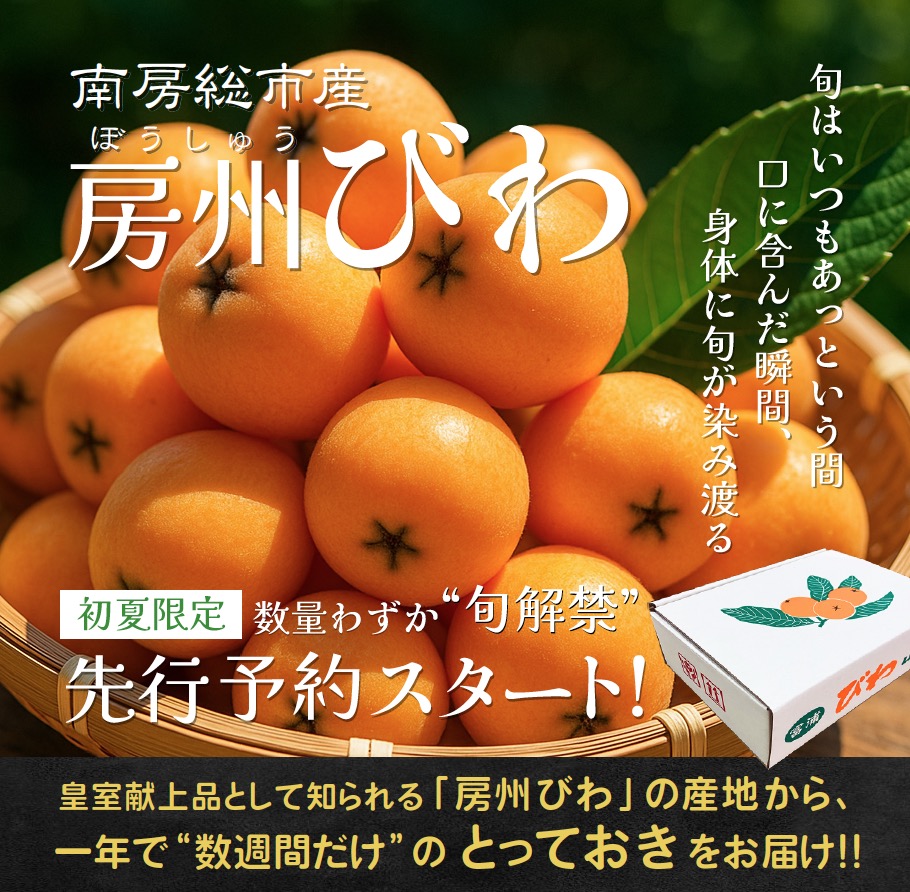 房州びわ　４Lサイズ出荷再開のお知らせ