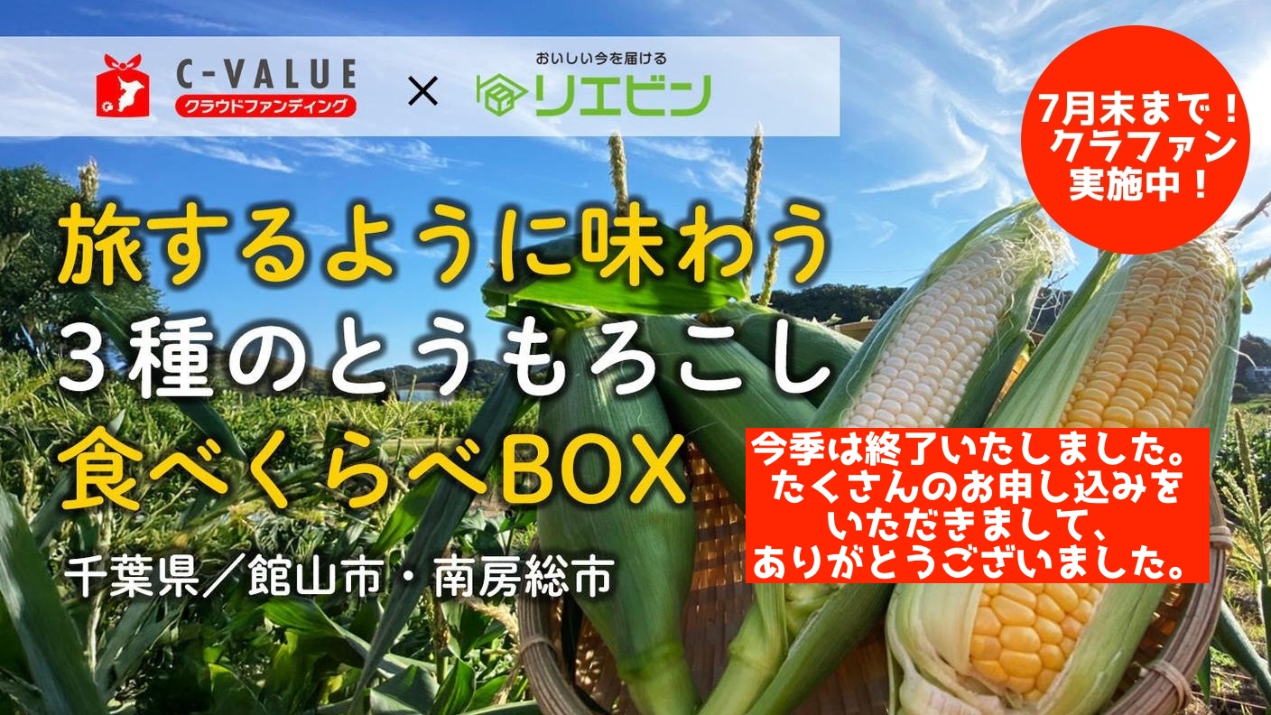 御礼｜旅するように味わう〜南房総3つの畑から届く、夏のとうもろこし食べ比べBOX　クラファン無事完了しました！