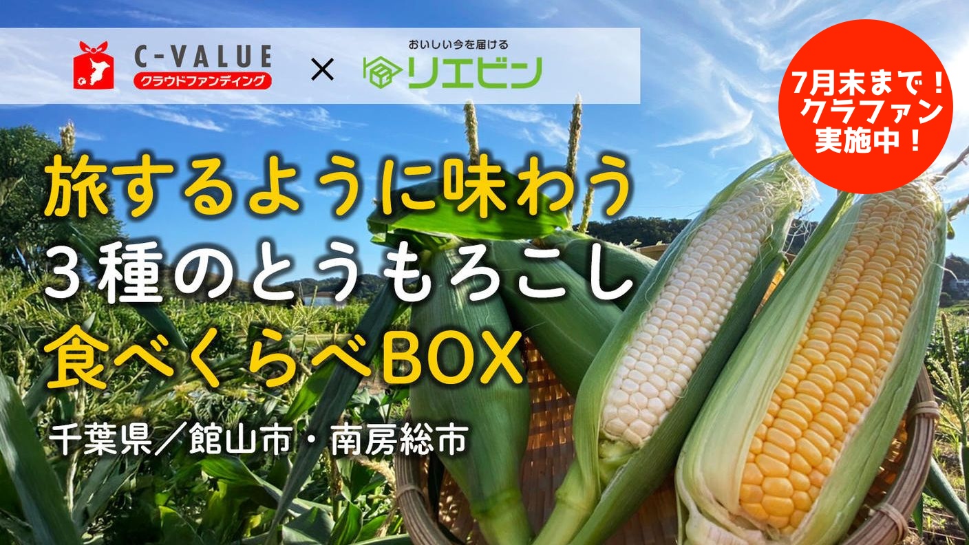 7月末まで！｜旅するように味わう〜南房総3つの畑から届く、夏のとうもろこし食べ比べBOX　クラファン実施中