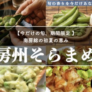 【房州そらまめ】南房総から初夏の贈り物